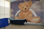 galeria1
